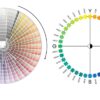 Farbkarte Norm NCS Index 2050 Farbtöne Nuancier NCS Farbfächer Index 2050  Lechler - NCS Farbfächer Index 2050 - Lachenmeier Farben AG